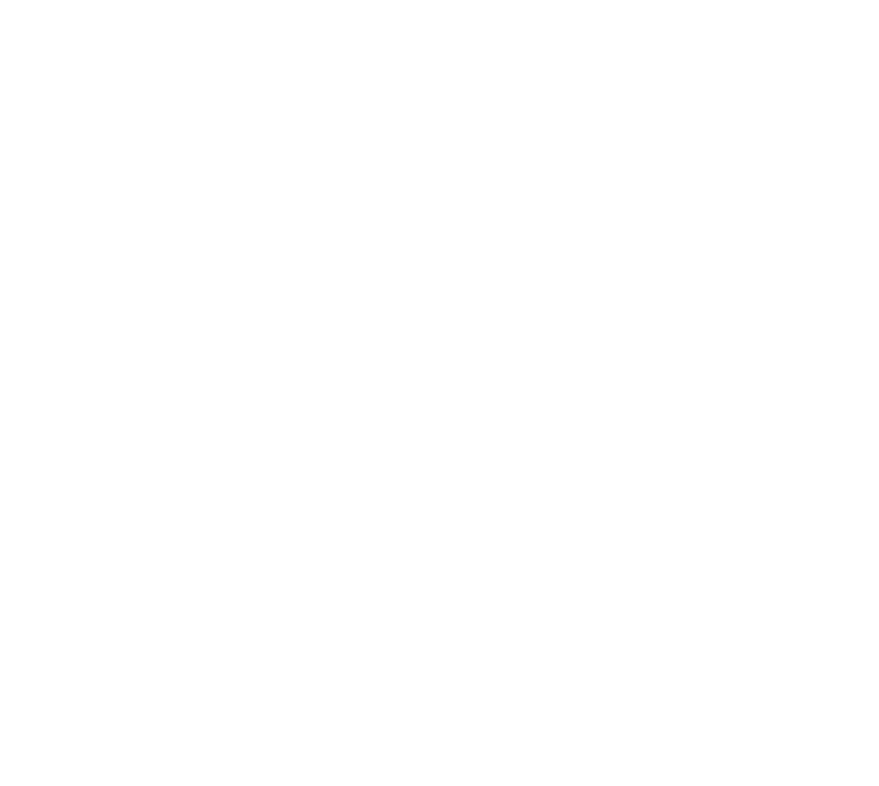 Nessie's @ Haverhub logo